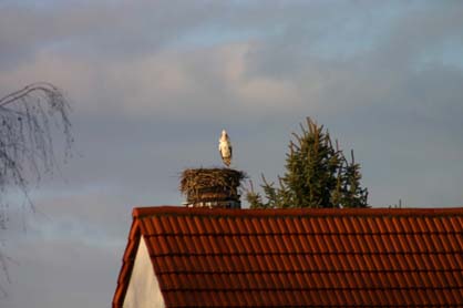 Der alte Schornstein der Gärtnerei Nolte
